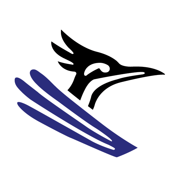 Roadrunner Construction Logo
